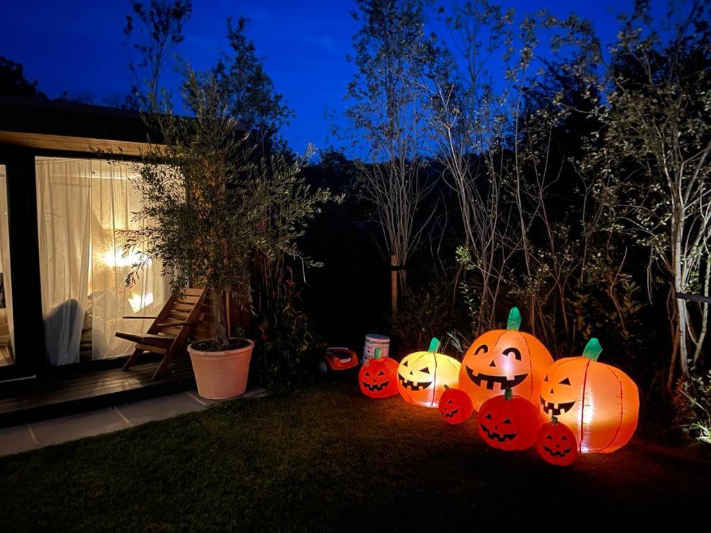 Dragonfly Glamping Spa Retreat Ashford  Eksteriør bilde