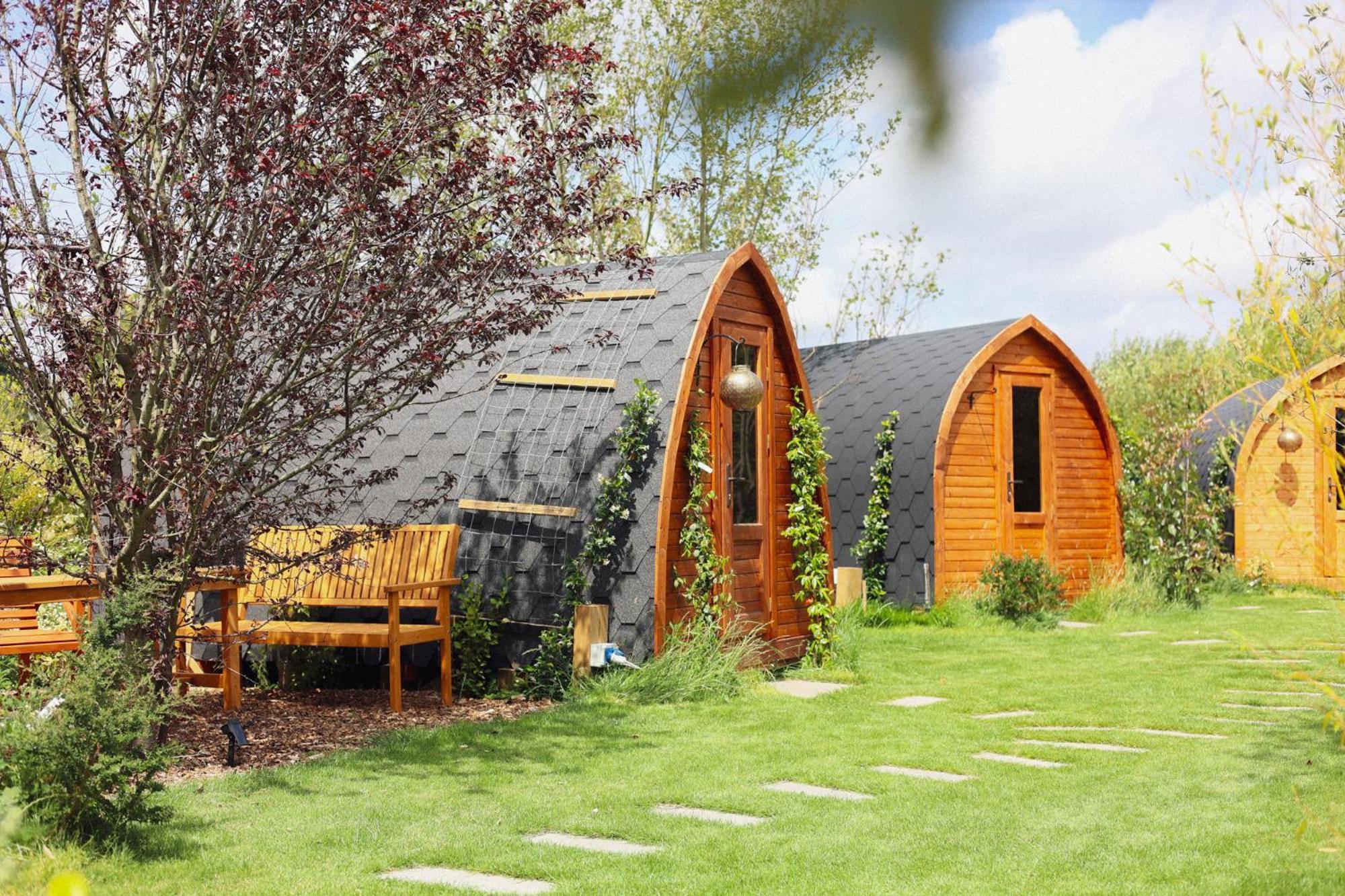 Dragonfly Glamping Spa Retreat Ashford  Eksteriør bilde